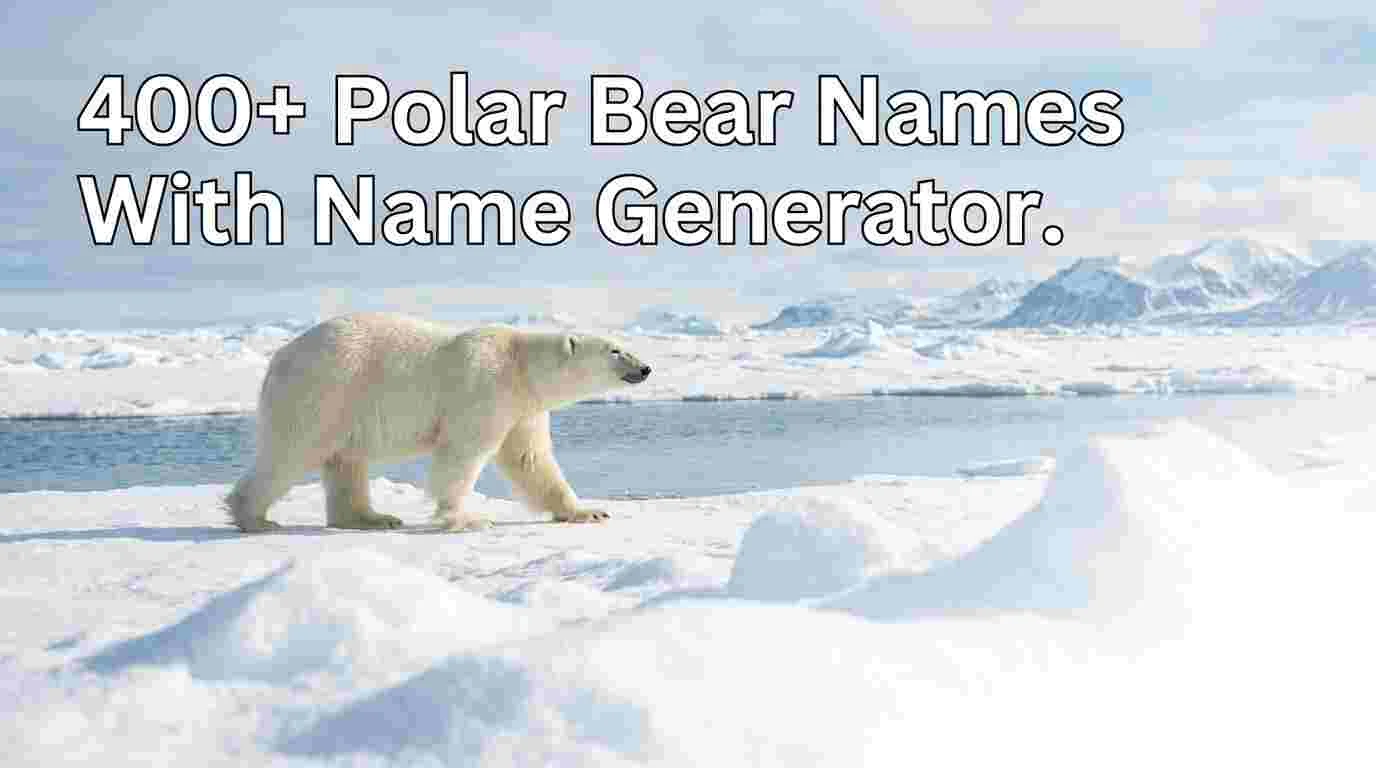 Polar Bear Names With Name Generator